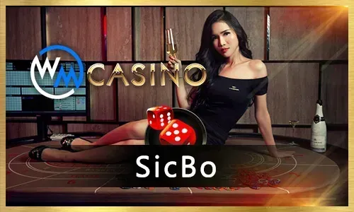 Live Baccarat Guide